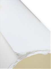 Arches 88 Silkscreen Paper