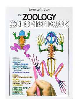 Collins Reference Zoology Coloring Book