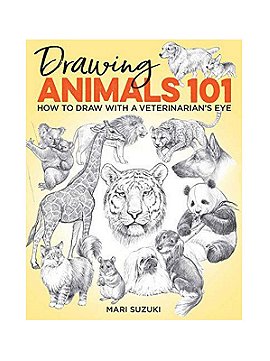 GetCreative6 Drawing Animals 101