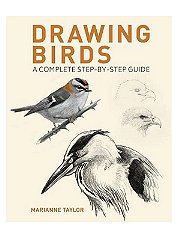 Arcturus Publishing Drawing Birds