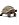 Item #87752 • Schleich • Giant Tortoise 